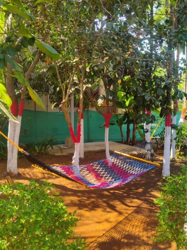 8a1963eb-07ce-4461-becd-dc3bd0034554