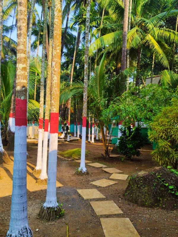 c7d8db99-4fc1-49a8-a52b-d7508eefc4ae